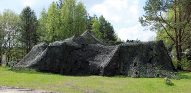 Gut getarnt: Ein kleiner Service Delivery Point. (Foto © ITBtl 281)