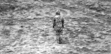 Nahinfrarot-Bild: Multitarndruck. (Foto ©WIWeB)