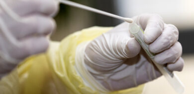 20200817 BLUE WINGS Schmidt 010 web