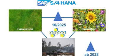 Die Einführung S/4HANA in die Bundeswehr (Foto © Streitkräfteam)