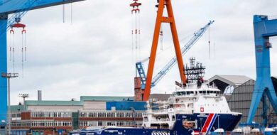 Abeille Méditerranée conver