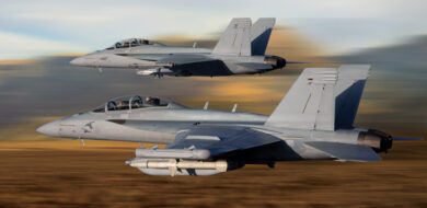 FA 18 Super Hornet and EA 18G Growler web