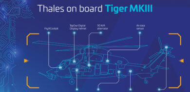 InfographicTigreMKIII EN